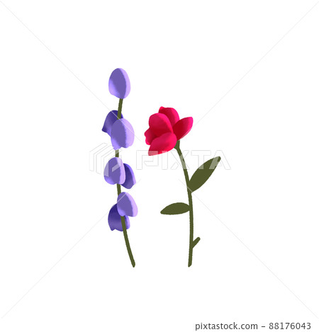 Lavender and roses Lavender and roses 88176043