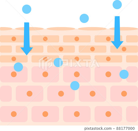 Image of transdermal absorption - Stock Illustration [88177000] - PIXTA