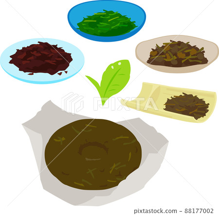 用茶樹製成的茶葉插圖集 88177002