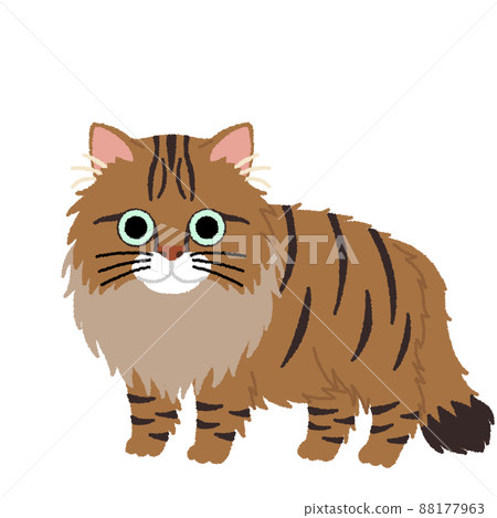 Siberian cat illustration 88177963