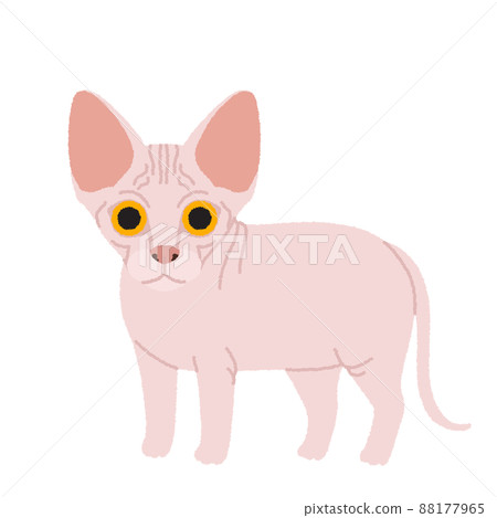 獅身人面像貓圖 88177965