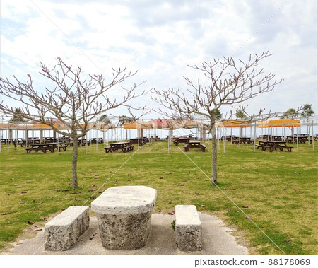 Okinawa Toyosaki Seaside Park 12 88178069