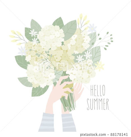 Cartoon Hands holding Bouquet of White Hydrangea Cartoon Hands holding Bouquet of White Hydrangea 88178141