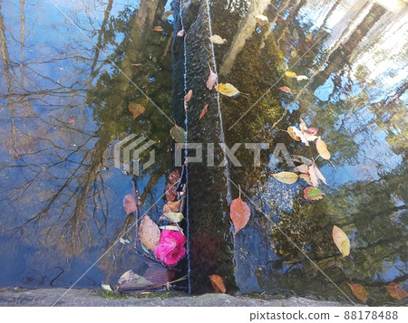It is the murmuring of a stream. You can see the trees reflected on the surface of the water floating. It is the murmuring of a stream. You can see the trees reflected on the surface of the water floating. 88178488