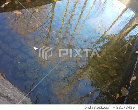 It is the murmuring of a stream. You can see the trees reflected on the surface of the water floating. It is the murmuring of a stream. You can see the trees reflected on the surface of the water floating. 88178489
