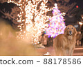 Illuminations and dogs Golden Retriever 88178586