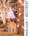 Illuminations and dogs (vertical) Golden retriever 88178587