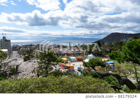 Sakura Festival in Hakodate Park 88179324