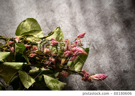 Dried flower Dried flower 88180606