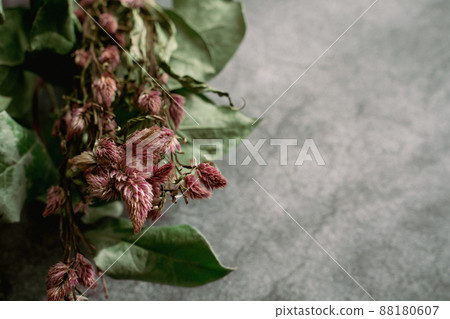 Dried flower Dried flower 88180607