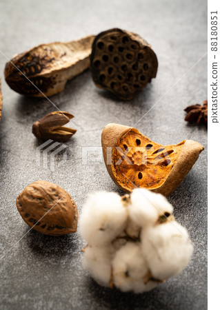 Dried flower  88180851