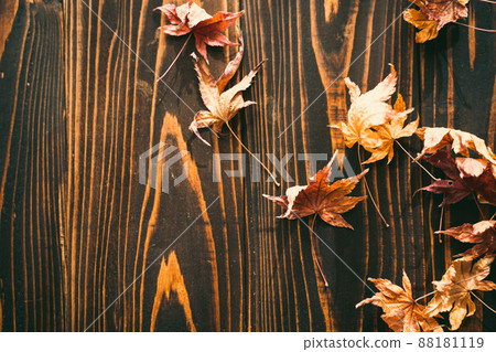 枯葉背景素材圖片 枯葉背景素材圖片 88181119