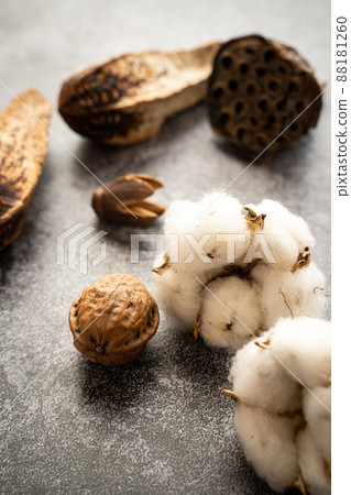 Dried flower  88181260