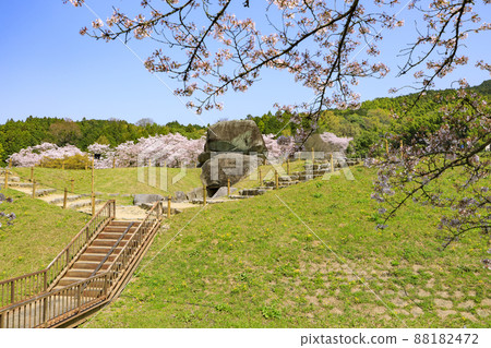 Ishibutai Tumulus in full bloom Ishibutai Tumulus in full bloom 88182472