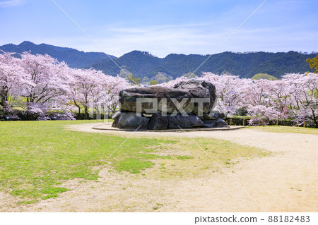 盛開的石台台古墳 88182483