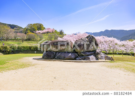 盛開的石台台古墳 88182484