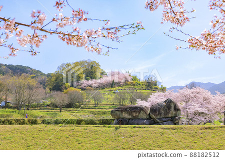 Ishibutai Tumulus in full bloom Ishibutai Tumulus in full bloom 88182512