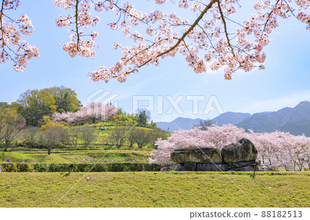Ishibutai Tumulus in full bloom Ishibutai Tumulus in full bloom 88182513