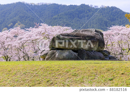 盛開的石台台古墳 88182516