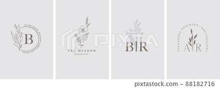 Elegant, botanique logo collection, hand drawn illustrations of flowers, leaves and twig, delicate 88182716