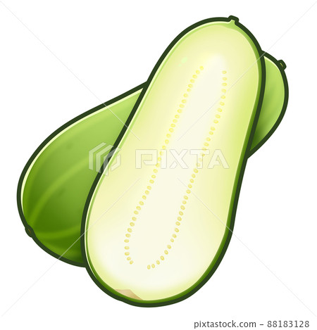 Uri 橫截面插圖素材 88183128