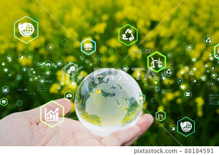 Global environment image 88184591