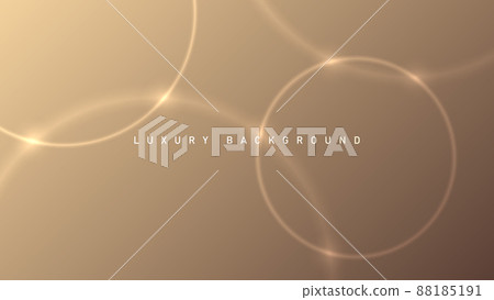 Rose luxury background with gold elements, light concept design template for your design 88185191