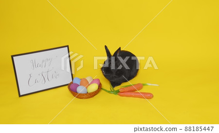 A black rabbit jumps on a yellow background and sniffs green onions and carrots. Next to it is a frame with the inscription Happy Easter and a basket with colorful Easter eggs. Easter. 88185447