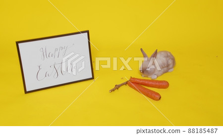 A beige rabbit jumps on a yellow background and sniffs carrots. Next to it is a frame with the inscription Happy Easter. Easter. 88185487