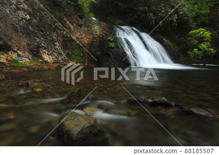 Summer Momiji Falls in Rankoshi Town, Hokkaido 88185507