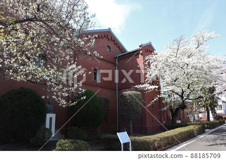 東京北區紅磚釀酒廠 Sakura 88185709