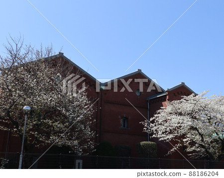 東京北區紅磚釀酒廠 Sakura 88186204