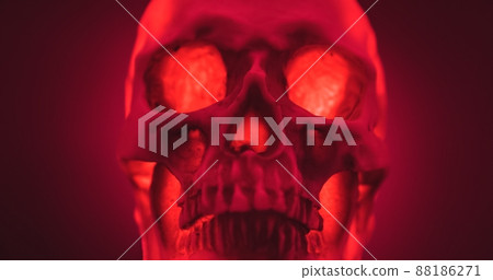 Skull with colored lighting loop closeup Skull with colored lighting loop closeup 88186271