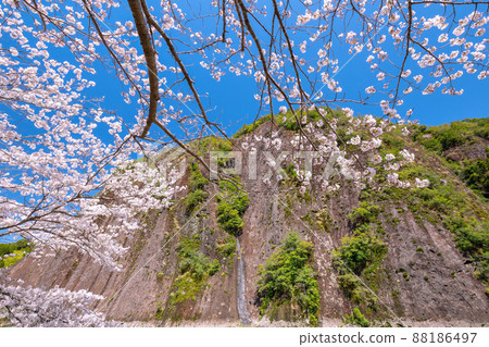 Koza River in spring 88186497