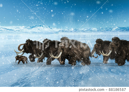 A group of mammoths moves in a snowstorm toward the destination, with the child's mammoth at the head. 88186587