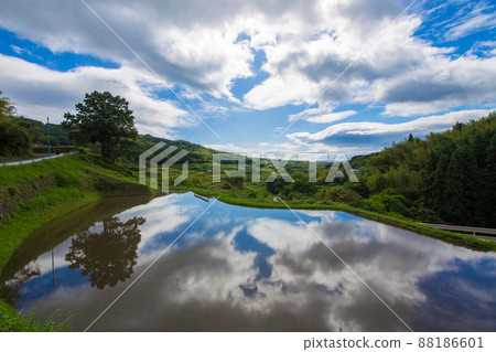 Paddy fields in Uchinari, Beppu City, Oita Prefecture Paddy fields in Uchinari, Beppu City, Oita Prefecture 88186601