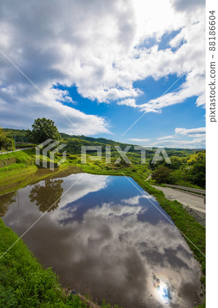Paddy fields in Uchinari, Beppu City, Oita Prefecture 88186604