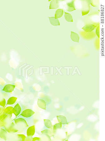 Shining young leaves background material 88186827