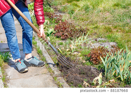 A woman digs up a flower bed with a metal pitchfork on a sunny spring day. 88187668