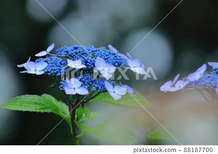 下雨時它會變濕 下雨時它會變濕 88187700