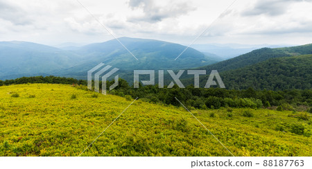 overcast morning scenery above green mountain valley. carpathian nature landscape in spring, ukraine. forested hills and grassy meadows on slopes. rainy weather overcast morning scenery above green mountain valley. carpathian nature landscape in spring, ukraine. forested hills and grassy meadows on slopes. rainy weather 88187763