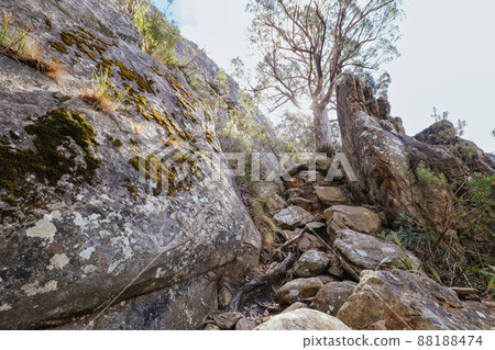 Sugarloaf Peak Hike near Marysville in Australia Sugarloaf Peak Hike near Marysville in Australia 88188474
