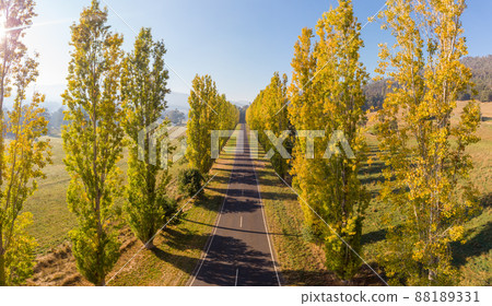 Gould Memorial Drive in Marysville in Australia 88189331