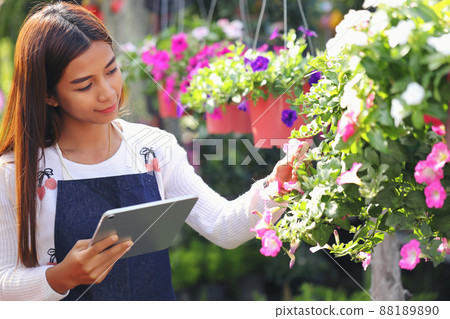An Asian woman who owns a flower garden business is counting the flowers to match the customer order. 88189890
