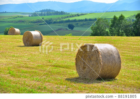 Biei-cho pasture roll 88191805