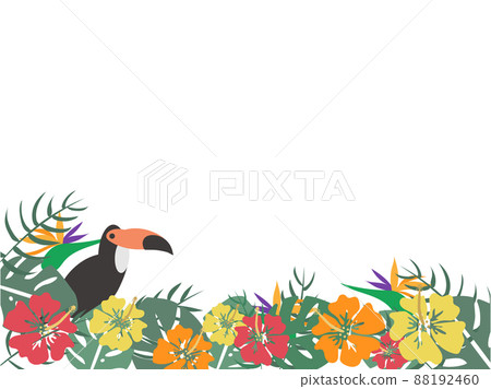 Hibiscus and Monstera, a tropical frame of birds Hibiscus and Monstera, a tropical frame of birds 88192460