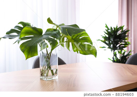 Fresh leaves of tropical plants on table in room. Home decoration 88194603