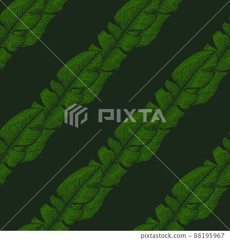 Banana leaves seamless pattern.Vintage tropical branch in engraving style. 88195967