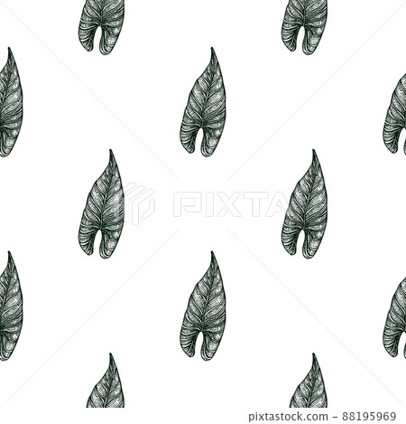 Engraving leaf araceae seamless pattern. Vintage leaves background. 88195969