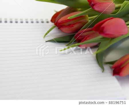 red tulips and notebook paper background. Copy space, greeting card postcard banner cover mockup, for your design horizontal 88196751